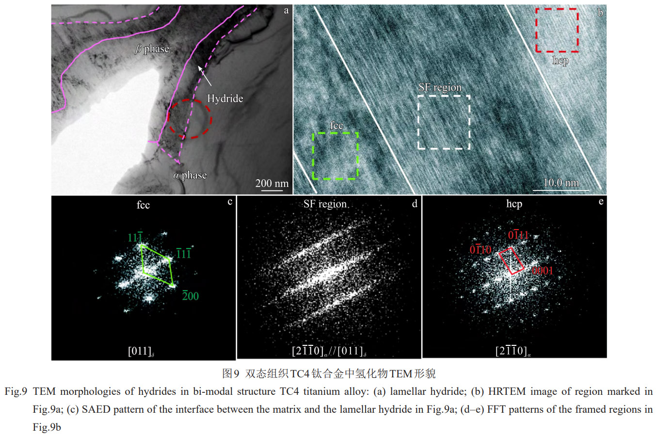 顯微組織對TC4雙相鈦合金氫化物轉變及氫分布的影響機制——系統解析相界面作用、氫擴散規律與氫化物變體選擇特性