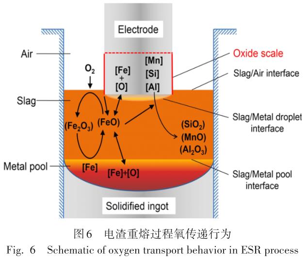 1699522526514905.jpg t6.jpg