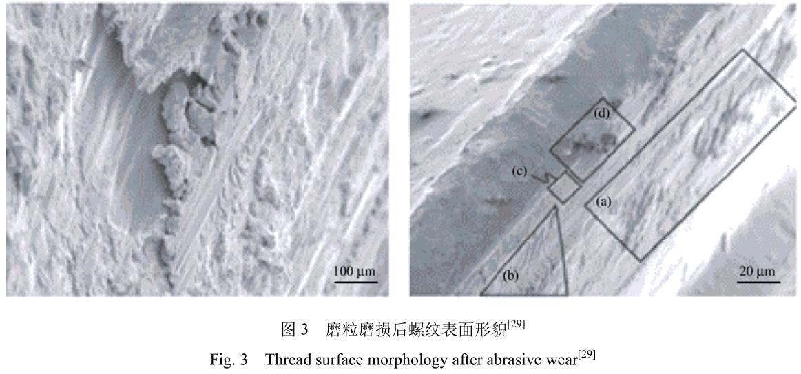 1706095403299519.jpg t3.jpg