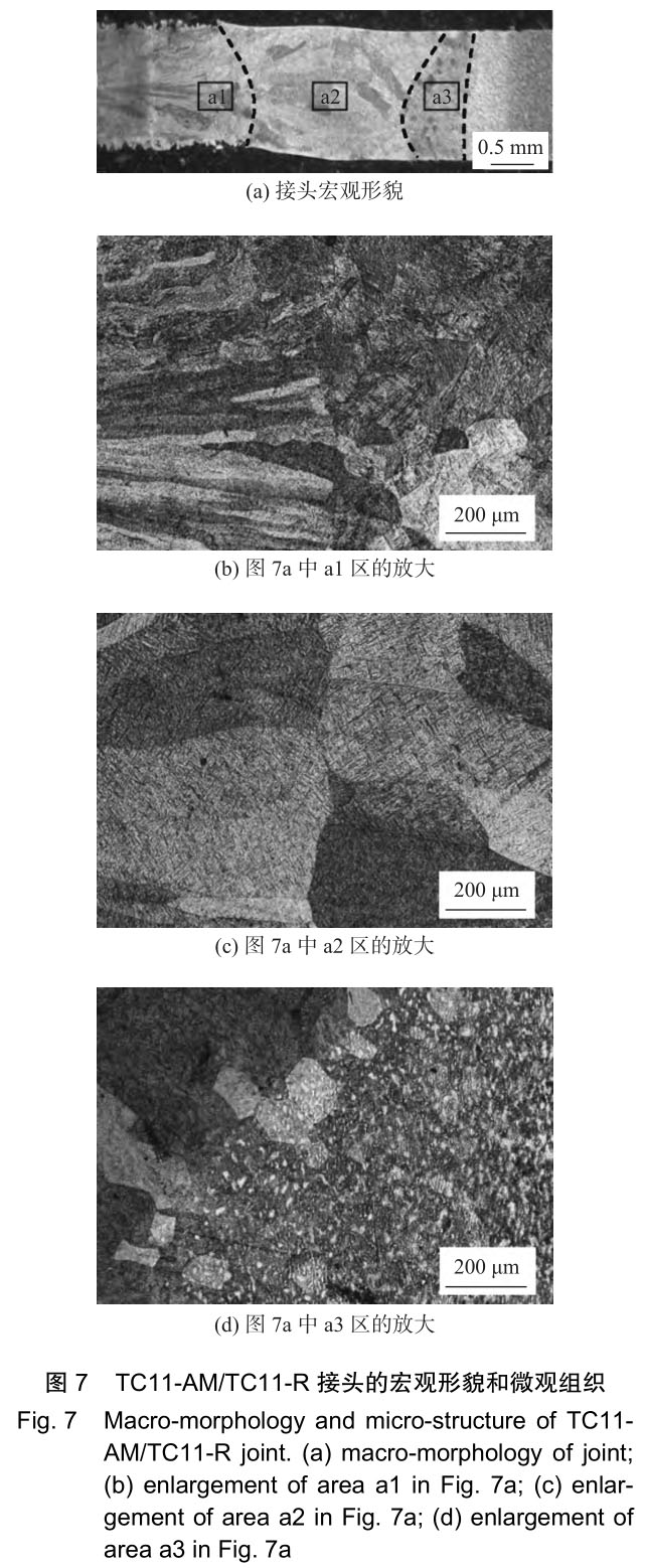 1706222939775107.jpg t7.jpg