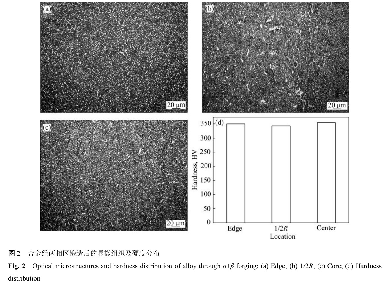 1700405046102430.jpg t2.jpg