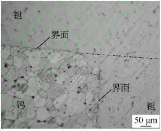 1711022847672884.jpg 5.jpg