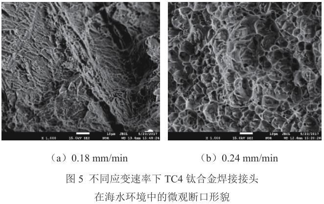 1713094203761826.jpg 360截圖164704117910375.jpg