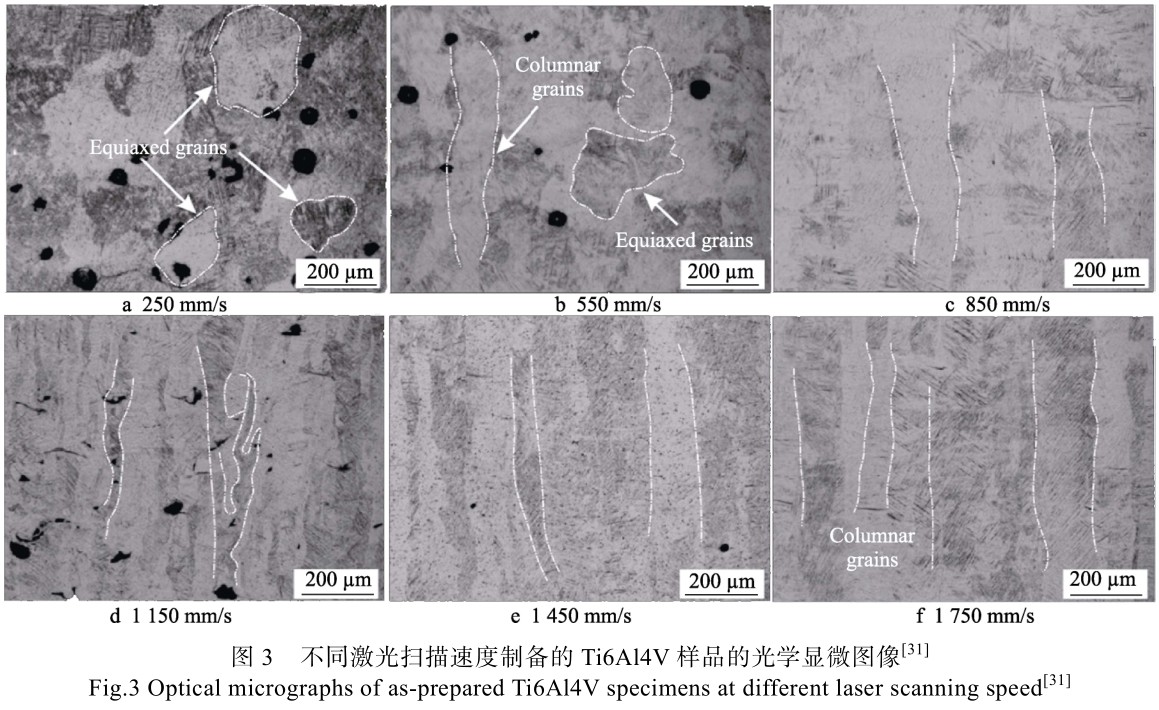 1715136900832922.jpg t3.jpg