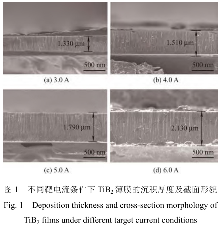 1725376861528462.jpg t1.jpg