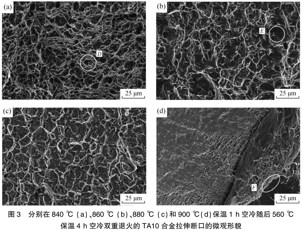 1725378015384567.jpg 360截圖16360731112124106.jpg