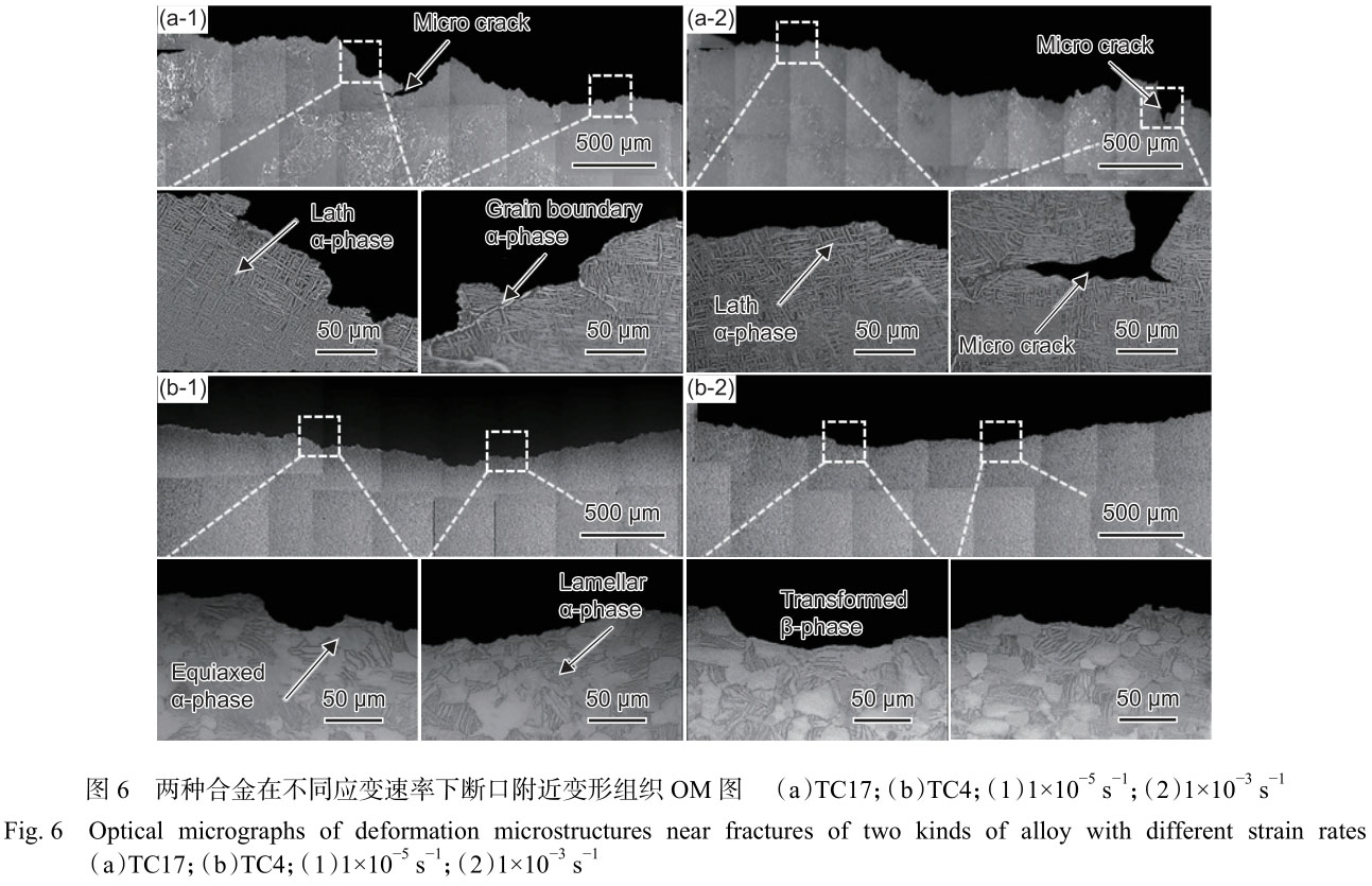 1699878610780283.jpg t6.jpg