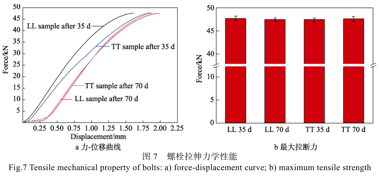 1728034764225264.jpg t7.jpg