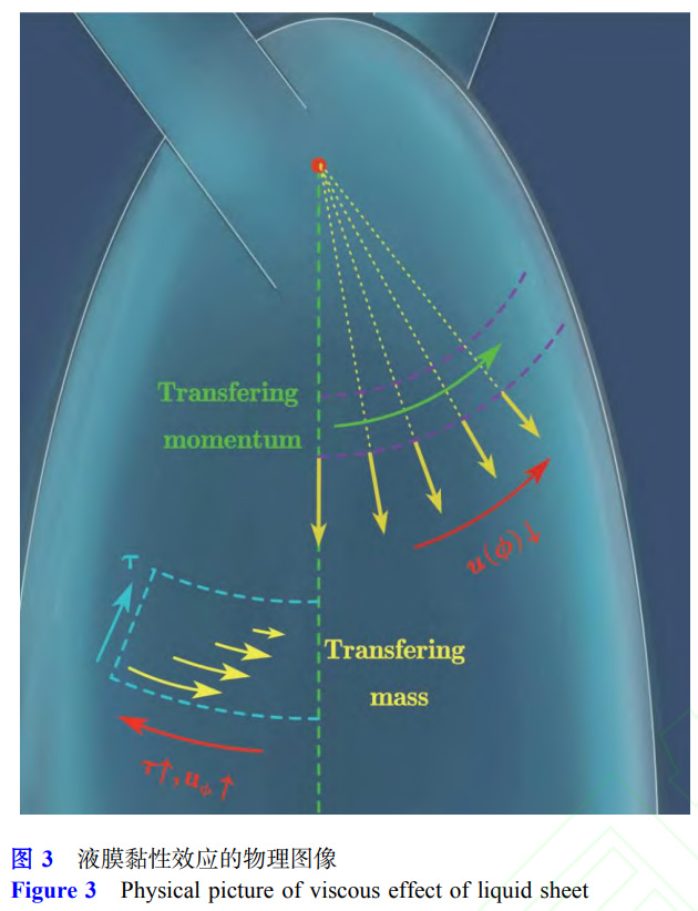 1768297521872630.jpg 3.jpg