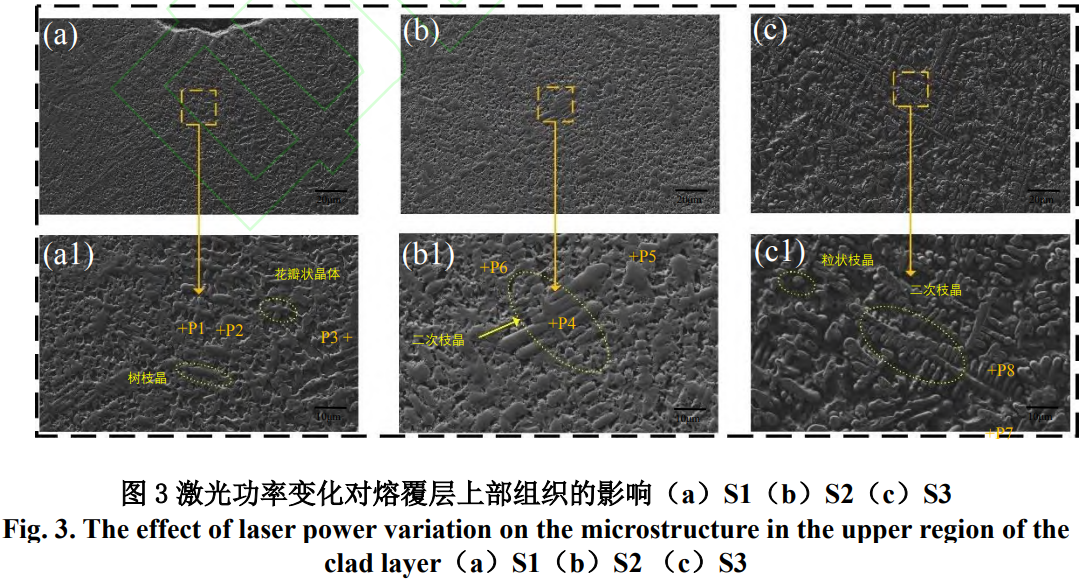 1773624725490775.png 3.png